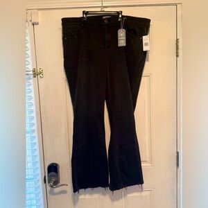 Wit & Wisdom Classic Black Apparel
